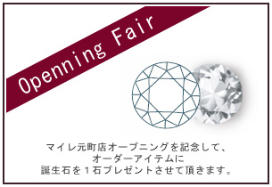 オープニングフェア